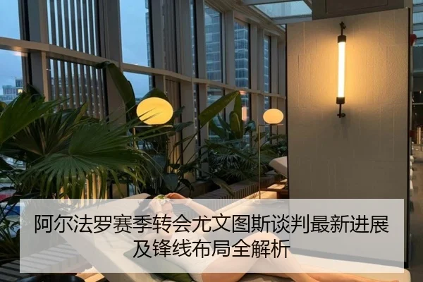 阿尔法罗赛季转会尤文图斯谈判最新进展及锋线布局全解析 | Lesi