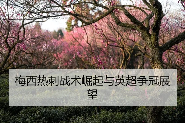 梅西热刺战术崛起与英超争冠展望